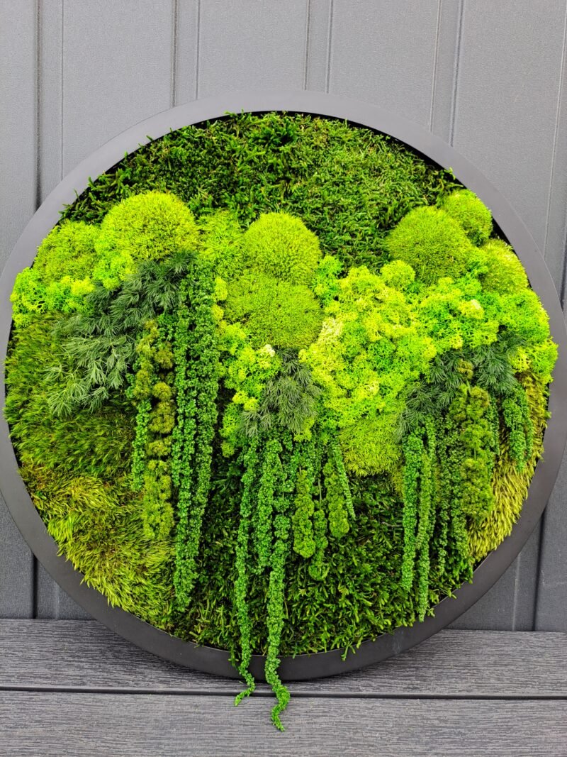 Apvalus stabilizuotų samanų paveikslas - ø50cm