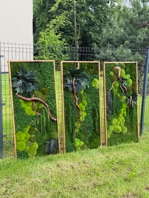 Stabilizuotų samanų paveikslai ir sienos – Bloom projektas 20