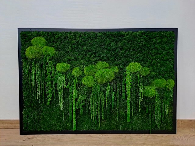 Stabilizuotų samanų paveikslai ir sienos – Bloom projektas 24