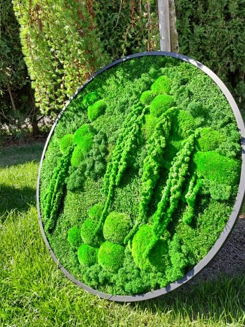 Stabilizuotų samanų paveikslai ir sienos – Bloom projektas 6