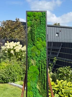 Stabilizuotų samanų paveikslas 120x30