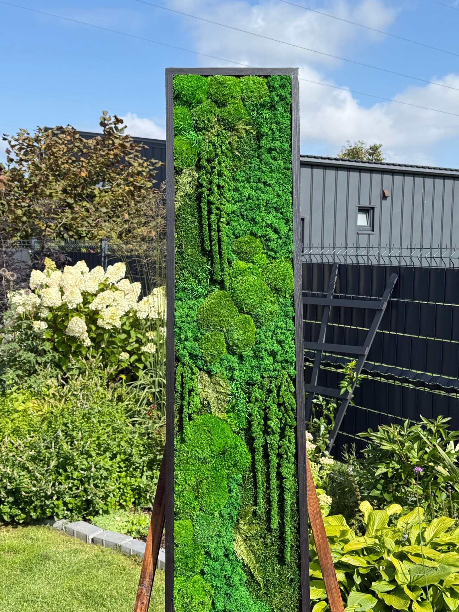 Stabilizuotų samanų paveikslas 120x30